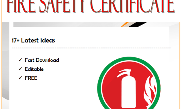 fire safety certificate template, fire safety training certificate template, final fire safety certificate template, fire retardant certificate template, fire extinguisher training certificate template, fire department certificate of appreciation template, fire fighting certificate template