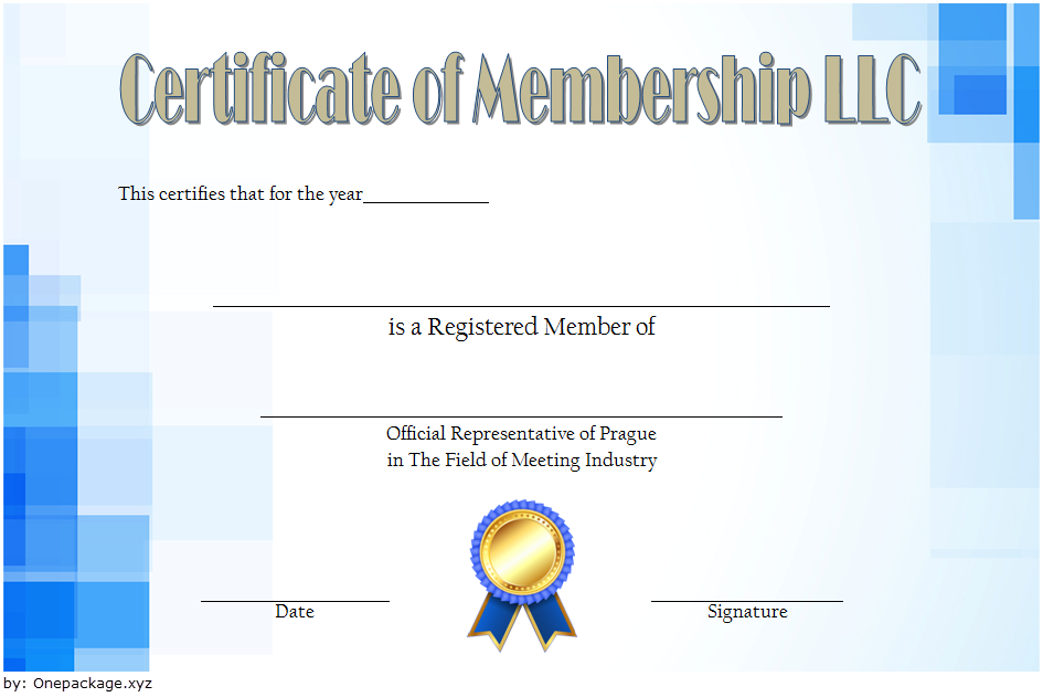 LLC Membership Certificate Template Word FREE 2 Two Package Template