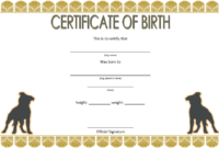 2019 Dog Birth Certificate Template Free