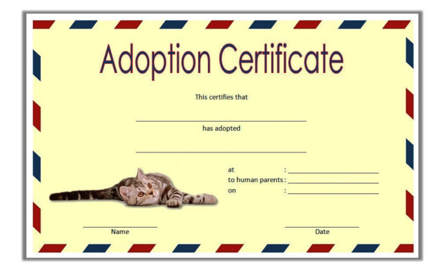 cat adoption certificate free printable, cat adoption gift certificate, kitten adoption certificate, animal adoption certificate, free pet adoption certificate template word