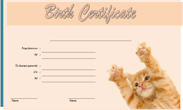 cat birth certificate template, cat birth certificate free printable, kitten birth certificate template, birth certificate template for cat, pet birth certificate template