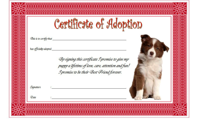 dog adoption certificate free printable, dog adoption certificate template free, puppy adoption certificate template, puppy adoption certificate free printable, puppy adoption certificate for birthday party, puppy adoption certificate paw patrol, animal adoption certificate, free pet adoption certificate template word