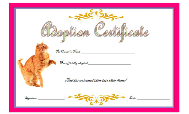 cat adoption certificate free printable, cat adoption gift certificate, kitten adoption certificate, animal adoption certificate, free pet adoption certificate template word