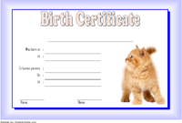 Kitten Birth Certificate Template for 2020 (1st Version)