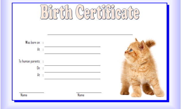 cat birth certificate template, cat birth certificate free printable, kitten birth certificate template, birth certificate template for cat, pet birth certificate template