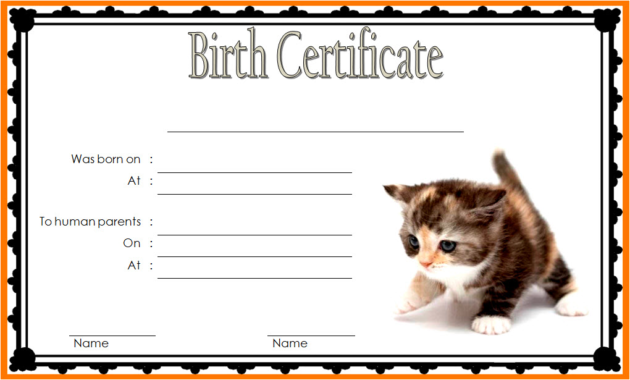 cat birth certificate template, cat birth certificate free printable, kitten birth certificate template, birth certificate template for cat, pet birth certificate template