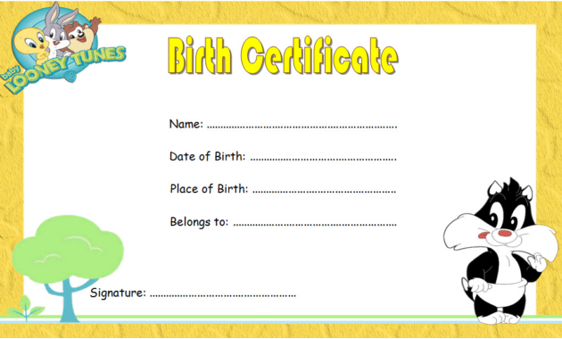 cat birth certificate template, cat birth certificate free printable, kitten birth certificate template, birth certificate template for cat, pet birth certificate template