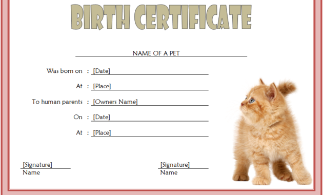 cat birth certificate template, cat birth certificate free printable, kitten birth certificate template, birth certificate template for cat, pet birth certificate template