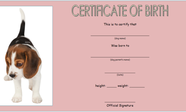 puppy birth certificate printable, puppy birth certificate template free, free puppy birth certificate template microsoft word, dog birth certificate printable, dog birth certificate template free, free dog birth certificate template microsoft word, pet birth certificate template