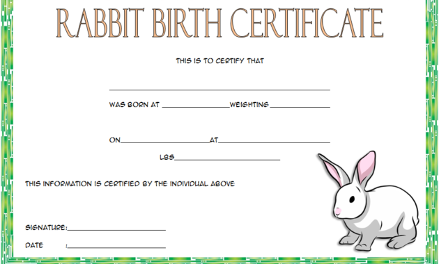 rabbit birth certificate free, rabbit birth certificate template, free printable rabbit birth certificate, bunny birth certificate template, peter rabbit birth certificate