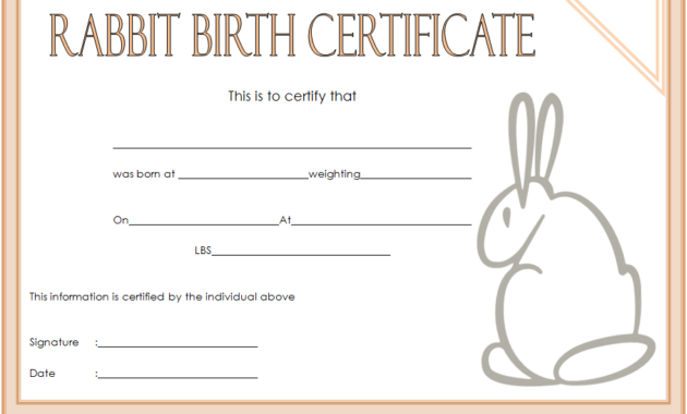 rabbit birth certificate free, rabbit birth certificate template, free printable rabbit birth certificate, bunny birth certificate template, peter rabbit birth certificate