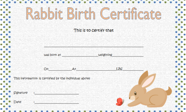 rabbit birth certificate free, rabbit birth certificate template, free printable rabbit birth certificate, bunny birth certificate template, peter rabbit birth certificate