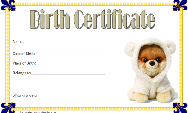 stuffed animal birth certificate template, printable stuffed animal birth certificate, stuffed animal birth certificate free, stuffed toy birth certificate