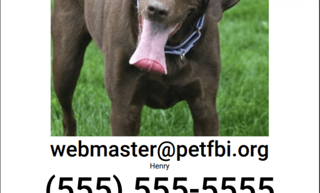 lost pet flyer template download, printable lost dog flyer template, missing dog flyer template free, lost animal poster template, lost dog poster template word, free lost cat flyer templates, lost pet flyer template free