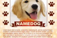 Free Printable Lost Dog Flyer Template (3rd Design)