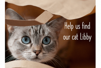 Lost Pet Flyer Template Download Free (4th Design Sample for a Cat)