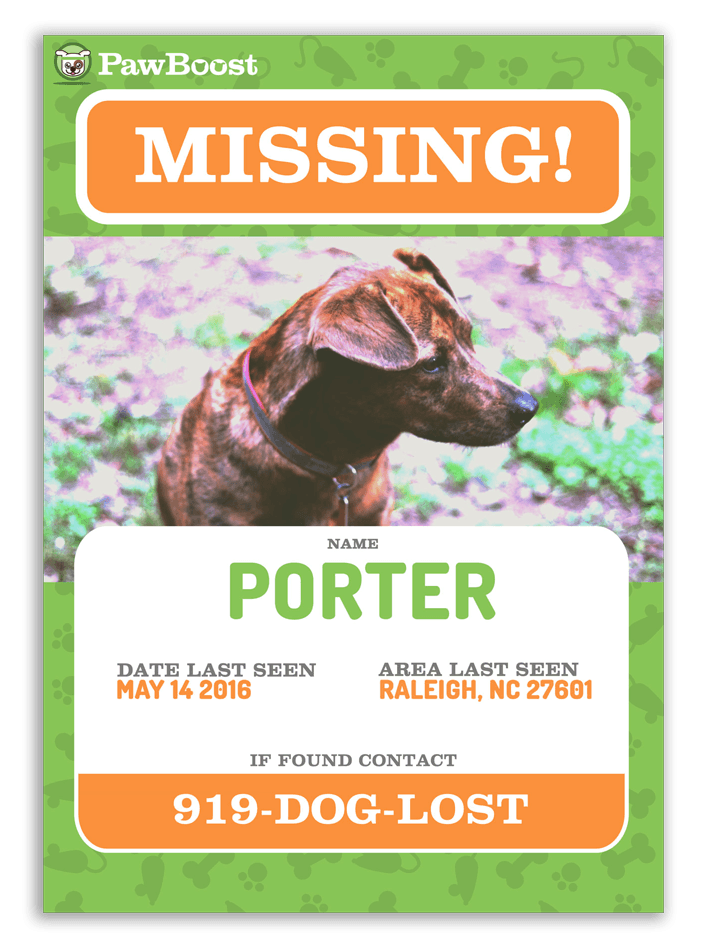 lost pet flyer template download, printable lost dog flyer template, missing dog flyer template free, lost animal poster template, lost dog poster template word, free lost cat flyer templates, lost pet flyer template free