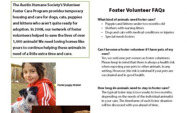 animal shelter donation flyer template, animal shelter donation poster, animal shelter flyers, animal shelter promotion ideas, animal rescue fundraiser flyer template, dog shelter posters, pet adoption flyer ideas