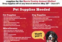 Animal Shelter Donation Flyer Template Free (5th Adorable Design)