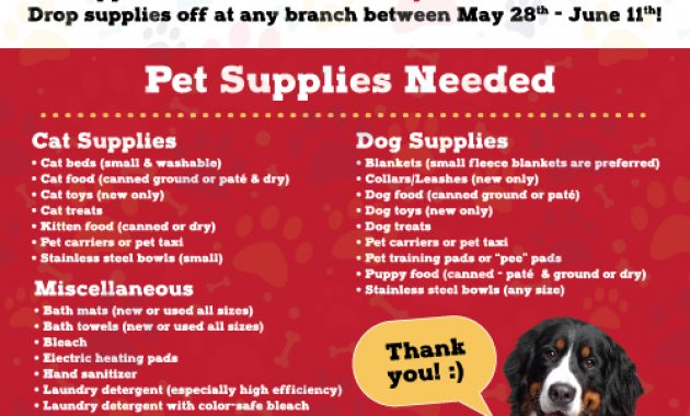 animal shelter donation flyer template, animal shelter donation poster, animal shelter flyers, animal shelter promotion ideas, animal rescue fundraiser flyer template, dog shelter posters, pet adoption flyer ideas