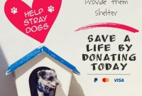 Free Animal Shelter Donation Poster Template (1st Cute Design)