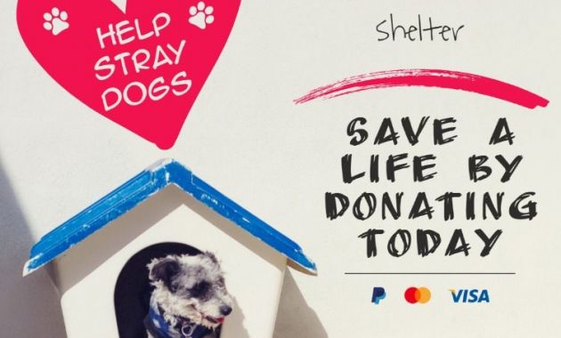 animal shelter donation flyer template, animal shelter donation poster, animal shelter flyers, animal shelter promotion ideas, animal rescue fundraiser flyer template, dog shelter posters, pet adoption flyer ideas