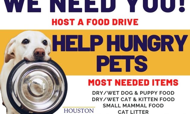 animal shelter donation flyer template, animal shelter donation poster, animal shelter flyers, animal shelter promotion ideas, animal rescue fundraiser flyer template, dog shelter posters, pet adoption flyer ideas