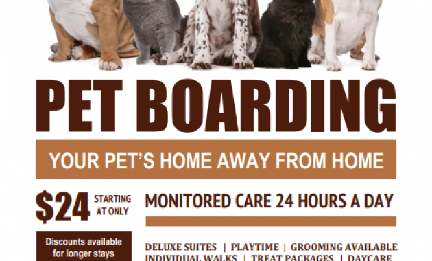 pet boarding flyer sample, dog sitting flyer template, dog boarding flyer, doggie daycare dog boarding flyer, dog walking flyer ideas, pet care flyer sample, free printable pet sitting flyer