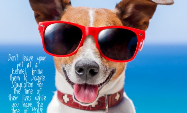 pet boarding flyer sample, dog sitting flyer template, dog boarding flyer, doggie daycare dog boarding flyer, dog walking flyer ideas, pet care flyer sample, free printable pet sitting flyer