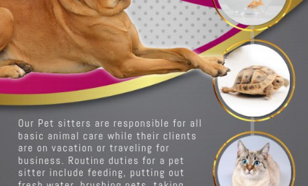 pet boarding flyer sample, dog sitting flyer template, dog boarding flyer, doggie daycare dog boarding flyer, dog walking flyer ideas, pet care flyer sample, free printable pet sitting flyer