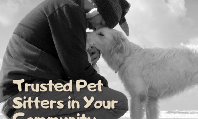 pet boarding flyer sample, dog sitting flyer template, dog boarding flyer, doggie daycare dog boarding flyer, dog walking flyer ideas, pet care flyer sample, free printable pet sitting flyer