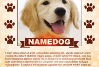 Free Printable Lost Dog Flyer Template (2nd Basic Design)