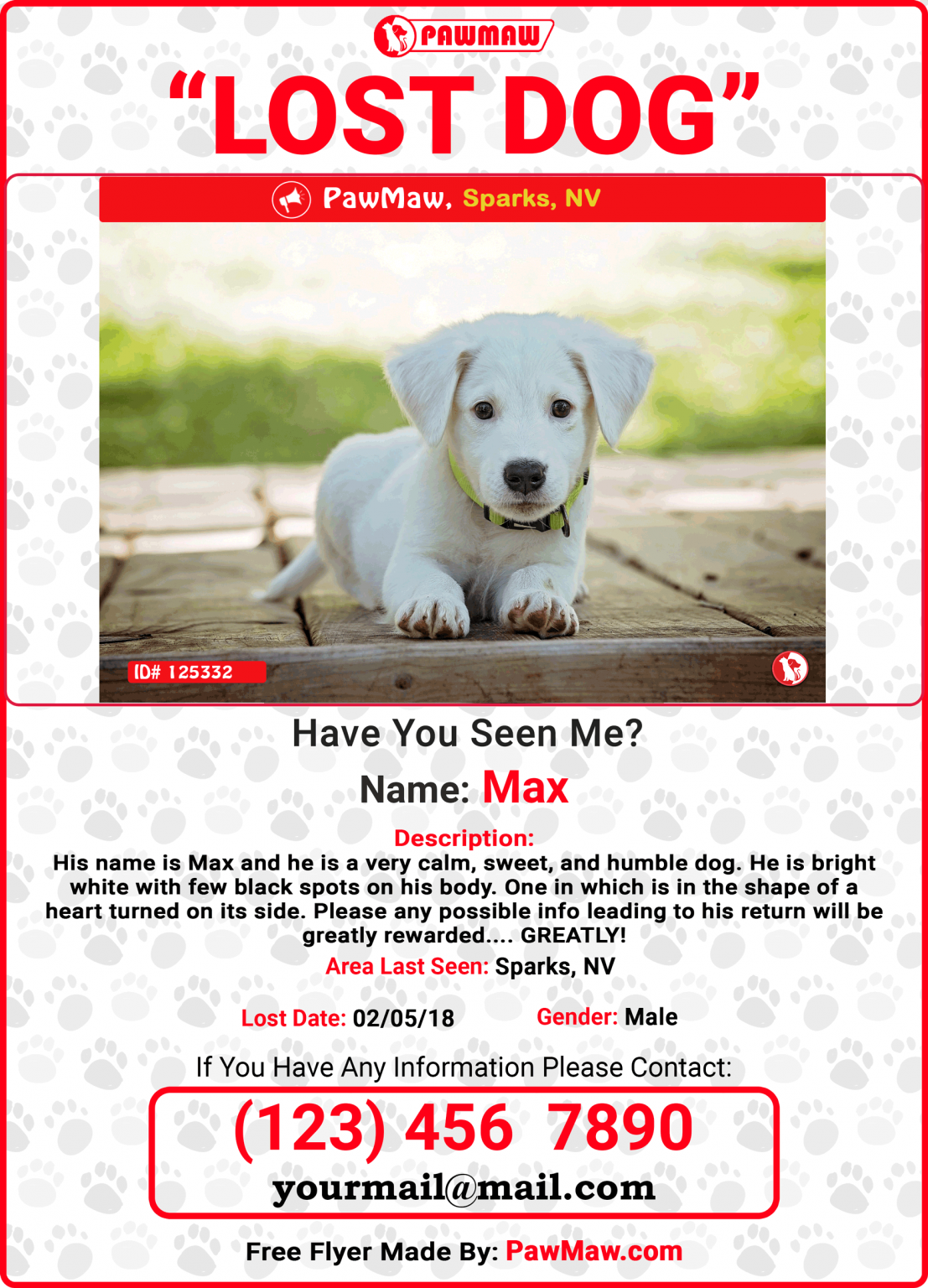 Free Printable Lost Dog Flyer Template (14  Amazing Formats)