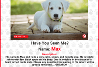 Free Printable Lost Dog Flyer Template (3rd Basic Design)