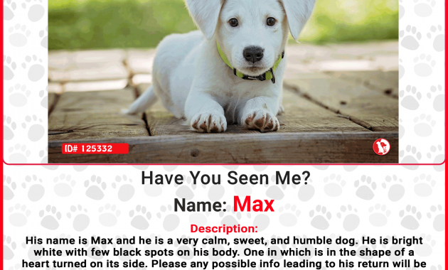 printable lost dog flyer template, lost dog poster template word, missing dog flyer template free, found dog poster template, found dog flyer template, most effective lost dog poster, lost dog poster template, lost pet flyer template download, missing animal poster template