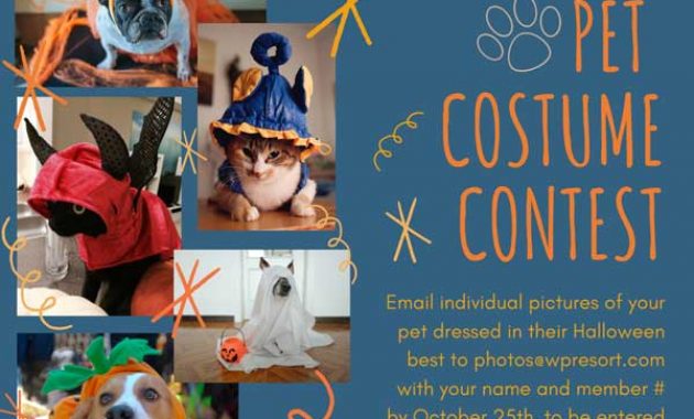 halloween pet parade flyer, dog parade flyer, halloween costume contest flyer template, halloween parade flyer template