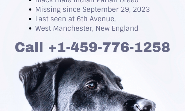 printable lost dog flyer template, lost dog poster template word, missing dog flyer template free, found dog poster template, found dog flyer template, most effective lost dog poster, lost dog poster template, lost pet flyer template download, missing animal poster template