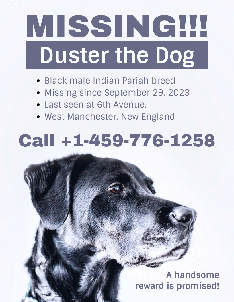 printable lost dog flyer template, lost dog poster template word, missing dog flyer template free, found dog poster template, found dog flyer template, most effective lost dog poster, lost dog poster template, lost pet flyer template download, missing animal poster template