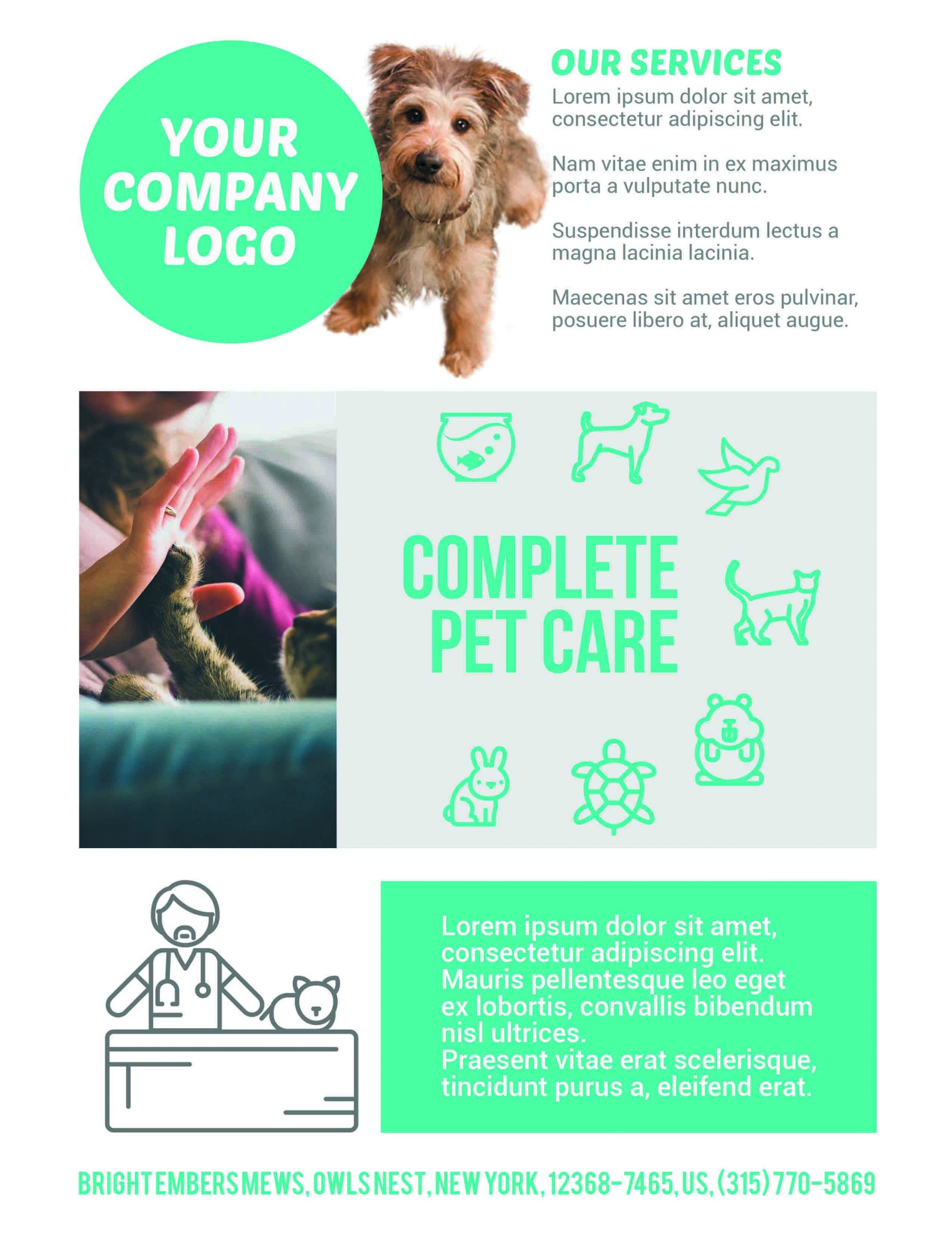 pet care flyer template, pet care flyer examples, pet care pet sitting flyers, free printable pet sitting flyer, free printable dog walker flyers, free pet sitting flyer template