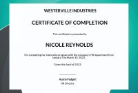 Professional Industrial Training Certificate Format Word Download (1st Internship Program Template)