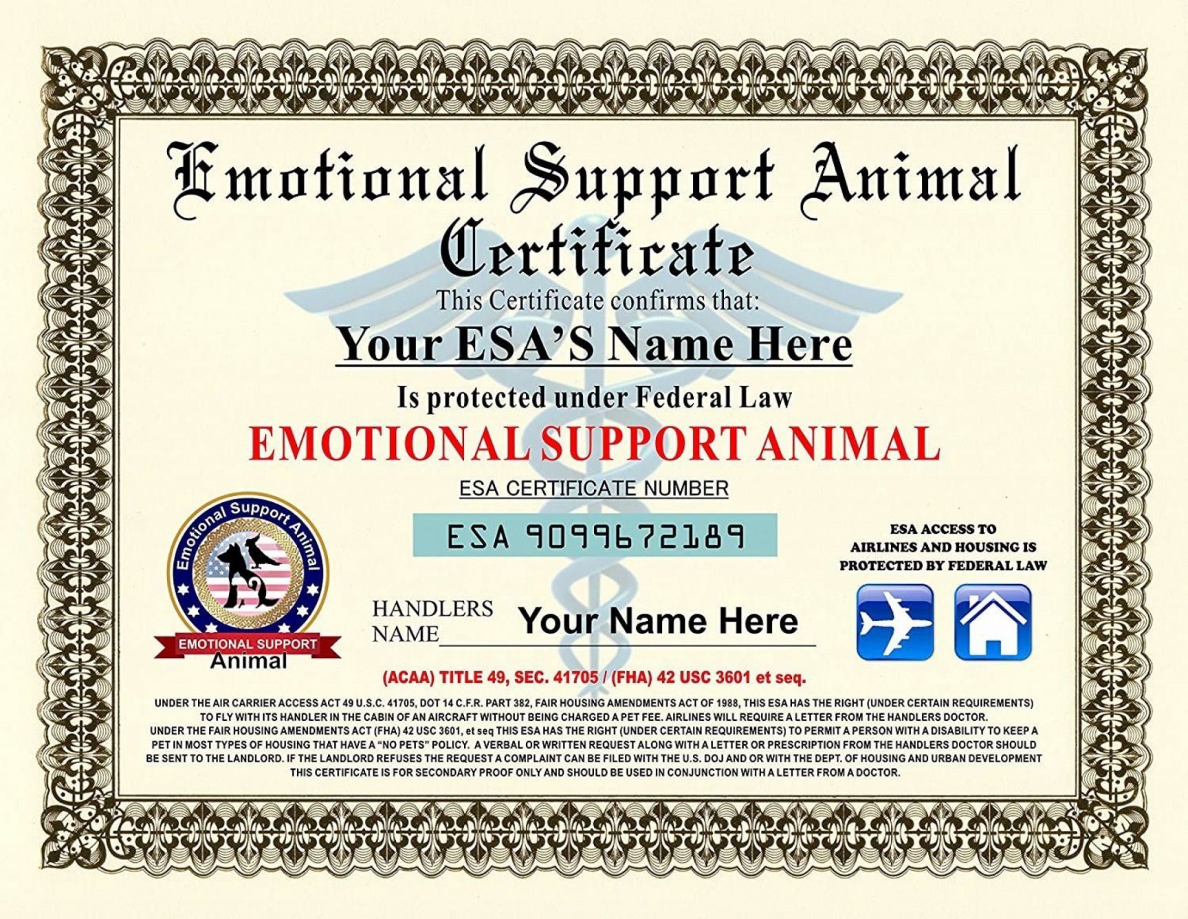 Free Emotional Support Dog Certificate Template (1st Official Design) service dog certificate template, service dog training certificate template, emotional support dog certificate template, free service dog certificate printable, free printable service dog certificate, assistance dog certificate template, printable service dog certificate free, service dog certification template