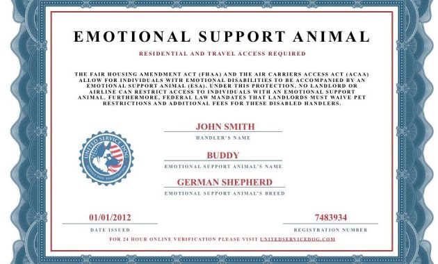 service dog certificate template, service dog training certificate template, emotional support dog certificate template, free service dog certificate printable, free printable service dog certificate, assistance dog certificate template, printable service dog certificate free, service dog certification template