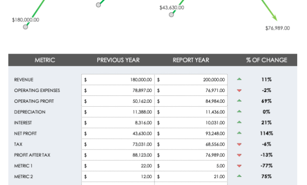 annual financial report template, annual financial statement report, annual report audited financial statement, comprehensive annual financial report, annual internal audit report template, annual sales report template, pta annual financial report template, free annual financial report excel template, annual financial report sample