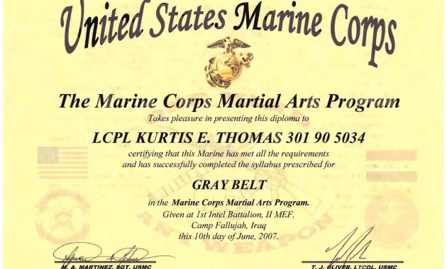 martial arts certificate template, free martial arts certificate templates, martial arts rank certificate template, martial arts black belt certificate, free martial arts award certificate template, marine corps martial arts certificate, free printable martial arts certificates, martial arts certificate design, editable martial arts certificate