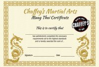 Martial Arts Certificate Template (1st Free Stunning Design) Martial Arts Certificate Template (1st Free Stunning Design)