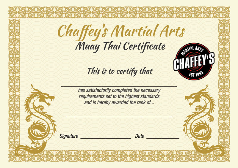 Martial Arts Certificate Template (1st Free Stunning Design) taekwondo certificate template, taekwondo grading certificate template, taekwondo black belt certificate template, taekwondo certificate of participation, tae kwon do certificate templates, editable taekwondo certificate, free printable taekwondo certificate, martial arts certificate template