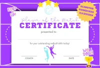 Netball Player of The Match Certificate (2nd Free Fillable Template)