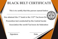 Taekwondo Black Belt Certificate Template (1st Free PDF Format) Taekwondo Black Belt Certificate Template (1st Free PDF Format)
