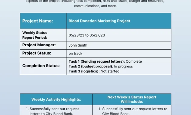 weekly status report template, weekly project status report template, weekly work status report template, weekly program status report template, weekly team status report template, weekly employee status report template, project weekly status report template, confluence weekly status report template, weekly report template, weekly report format in excel, weekly status report template ppt