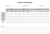 Weekly Sales Report Template – 3rd Free Blank Format